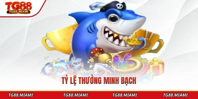 Tỷ lệ thưởng minh bạch
