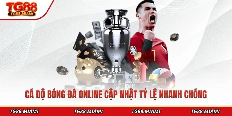Cá độ bóng đá online cập nhật tỷ lệ nhanh chóng