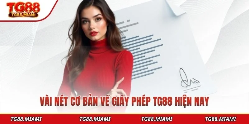 Vài nét cơ bản về giấy phép TG88 hiện nay