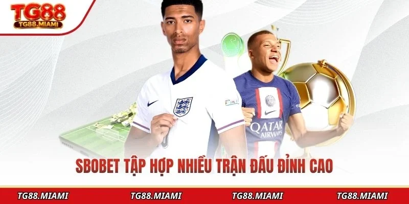 SBOBET tập hợp nhiều trận đấu đỉnh cao