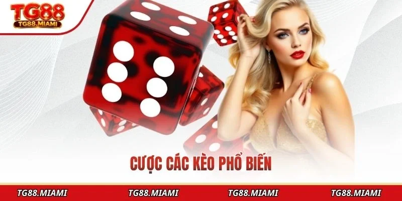 Cược các kèo phổ biến