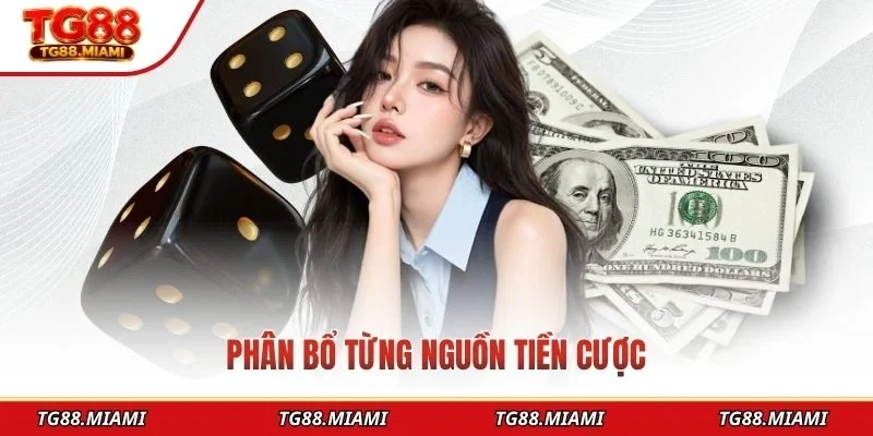 Phân bổ từng nguồn tiền cược