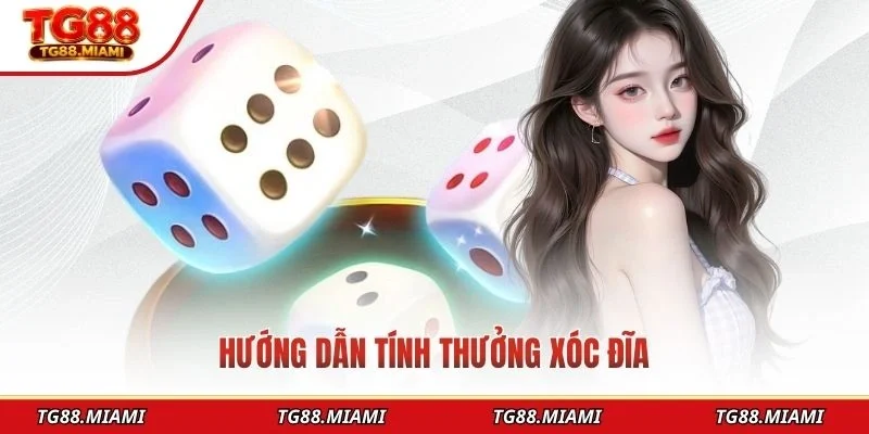 Hướng dẫn tính thưởng xóc đĩa