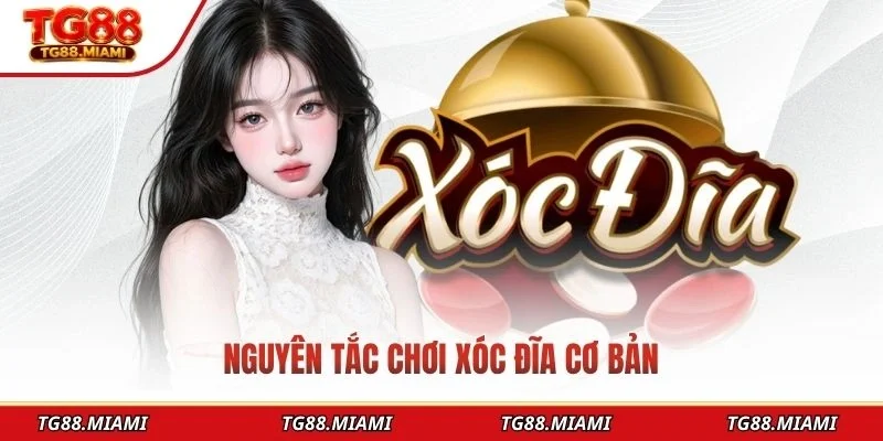 Nguyên tắc chơi xóc đĩa cơ bản